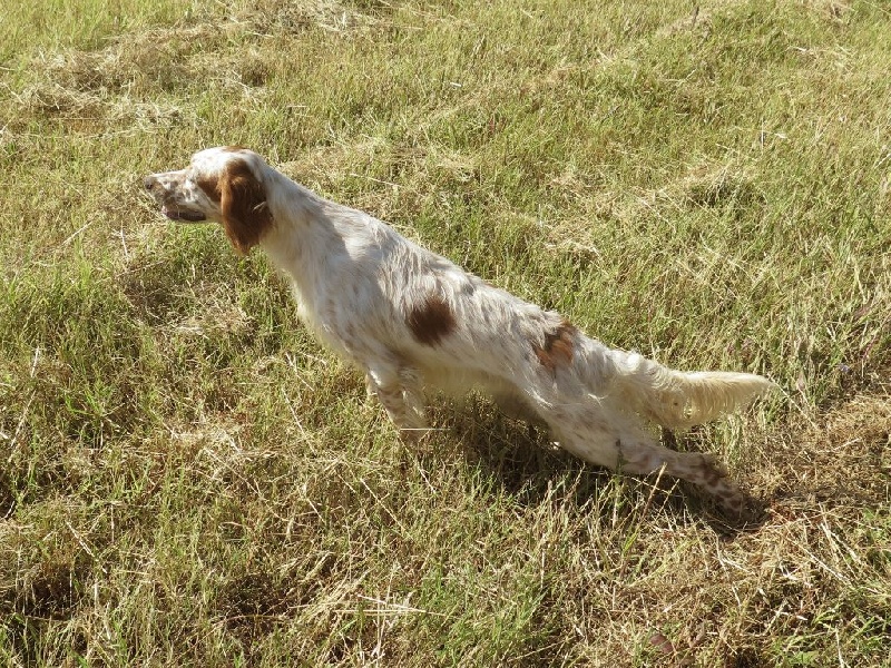 June Du Mas De Brégançon