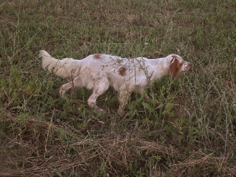 June Du Mas De Brégançon