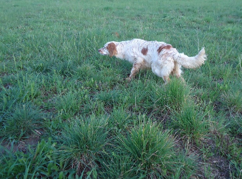 June Du Mas De Brégançon