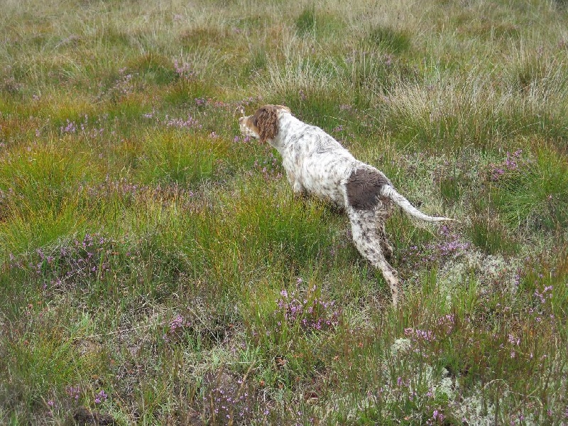 Hera Du Mas De Brégançon