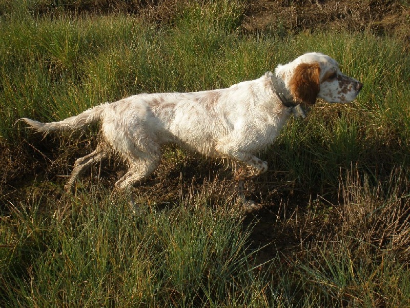 Coni Del Veneria