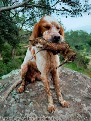 Unix Du Mas De Brégançon