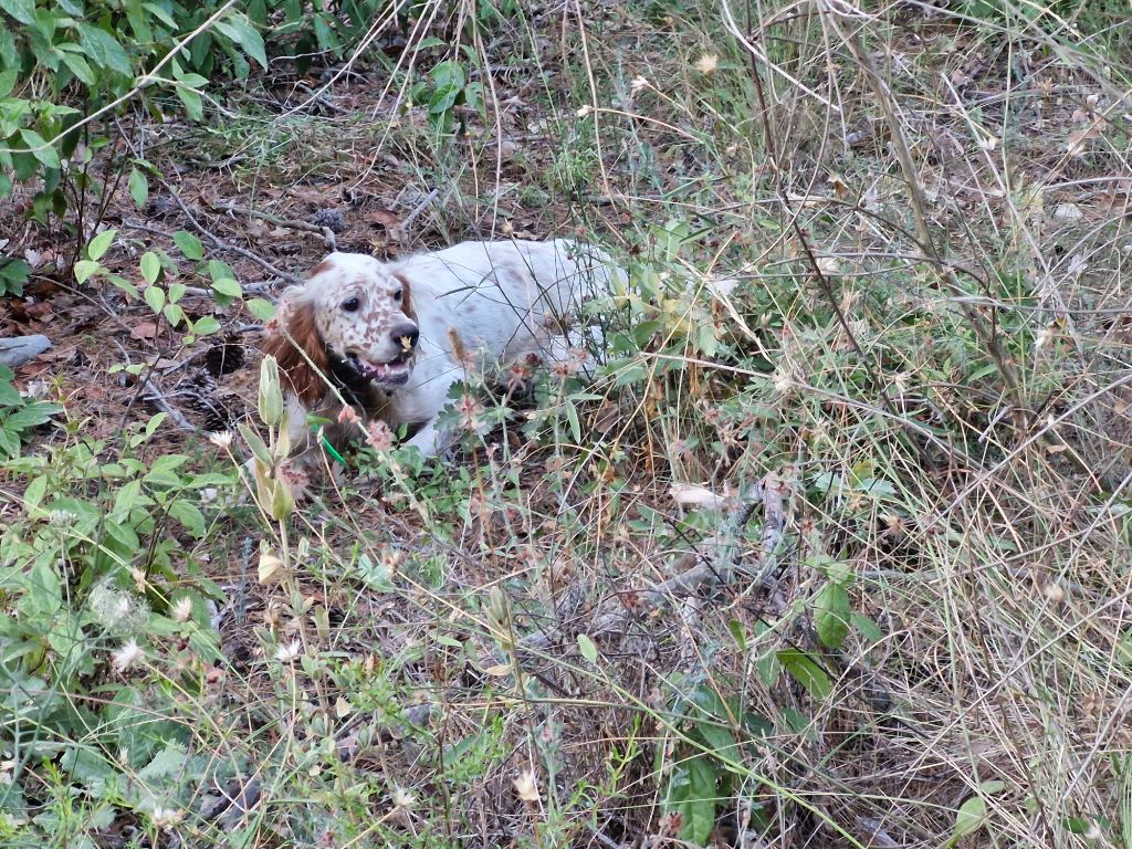 Ulane Du Mas De Brégançon